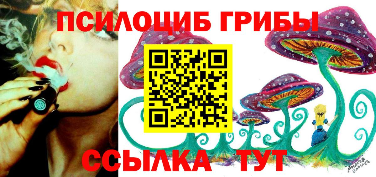 Псилоцибиновые грибы прущие грибы  Вход с VPN  Чапаевск 