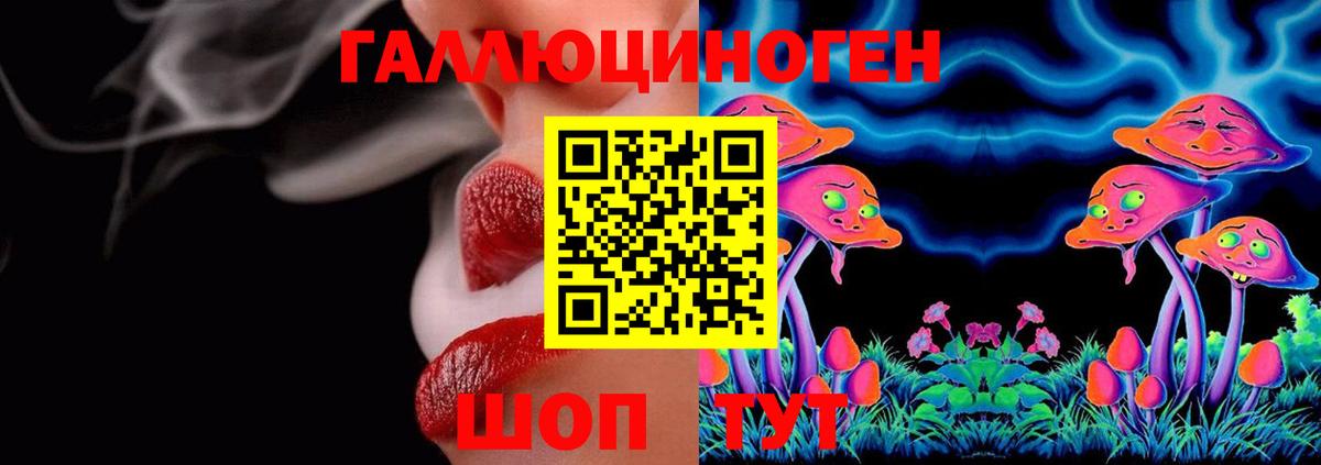 Псилоцибиновые грибы GOLDEN TEACHER Чапаевск
